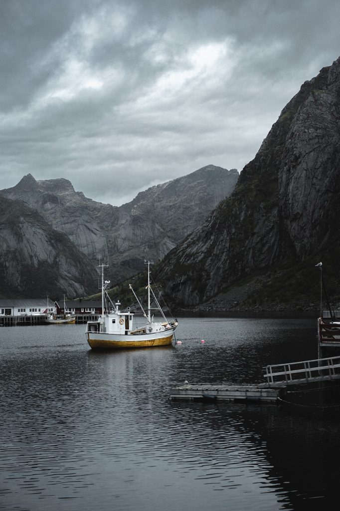 norway, lofoten, nature-4540666.jpg